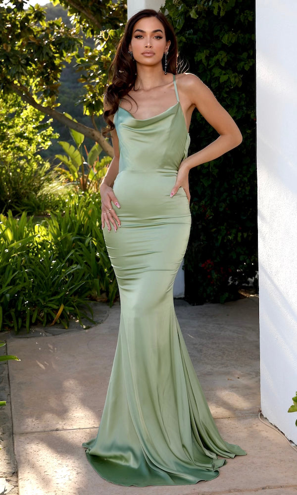 Willow Draped Back Gown- Sage